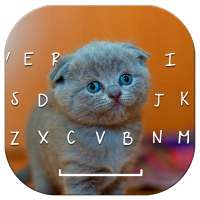 Kitty Cute Cat Keyboard