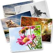 Wallpapers for whatsapp 1