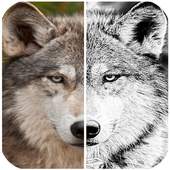 Photo Editor Enigma 1.0