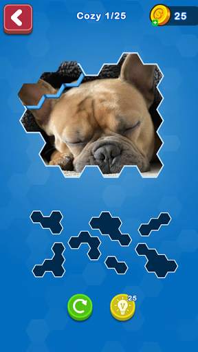 Hexa Puzzle Jigsaw: Anime Collection screenshot 4