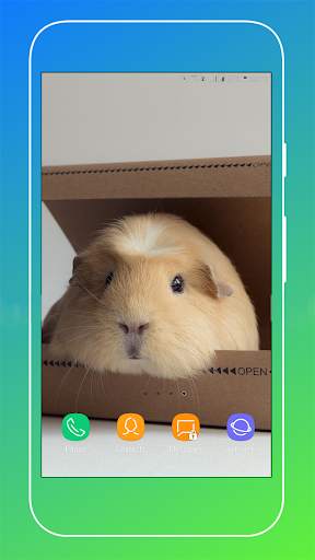 Guinea Pig Wallpaper screenshot 8