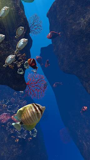 OCEAN AQUARIUM Live Wallpaper FREE screenshot 16