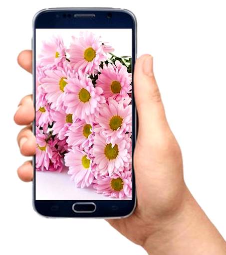 flower wallpaper screenshot 3