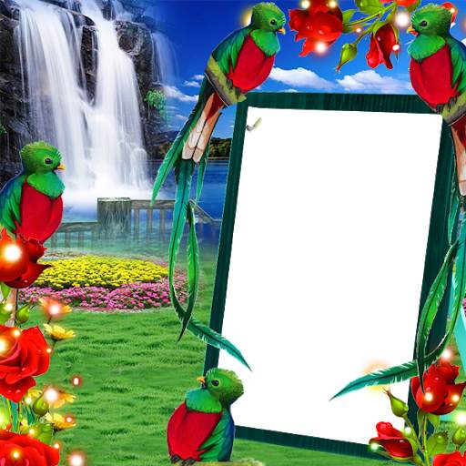 Quetzal Insta DP screenshot 4