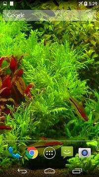 Real Aquarium Wallpaper screenshot 3