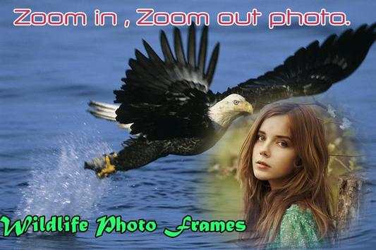 Wildlife Photo Frame screenshot 5