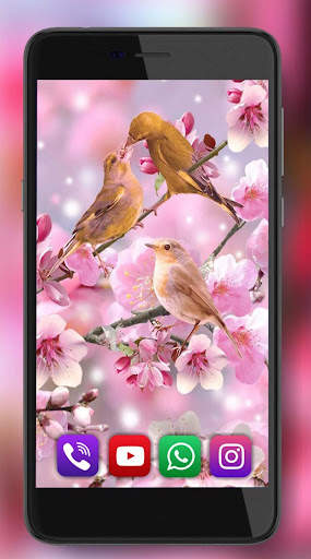 Birds Live Wallpaper screenshot 3