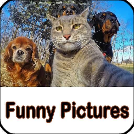 Funny Pictures Jokes 2.0