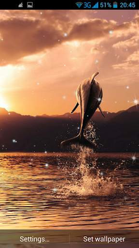 Dolphin 3D Live Wallpaper screenshot 2