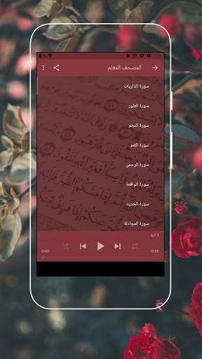 Muhammad Al-Minshawi - The Quran screenshot 4