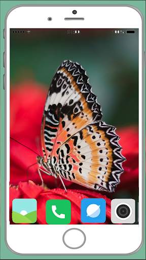 Butterfly Full HD Wallpaper screenshot 12