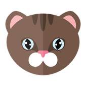 Audio For Instagram 1.0