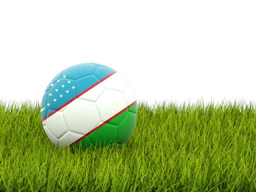 🇺🇿 Uzbekistan Flag Wallpapers 7 تصوير الشاشة