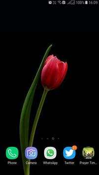 HD Background Flower Wallpaper screenshot 5