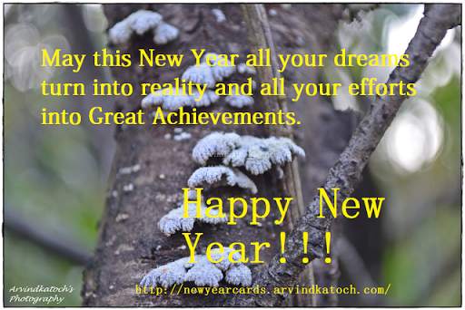 True Pic New Year Cards (2020) screenshot 4
