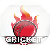 Live Cricket Score Ball by Ball - World Cup 2019 icon