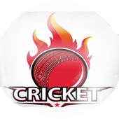 Live Cricket Score Ball by Ball - World Cup 2019 2.0