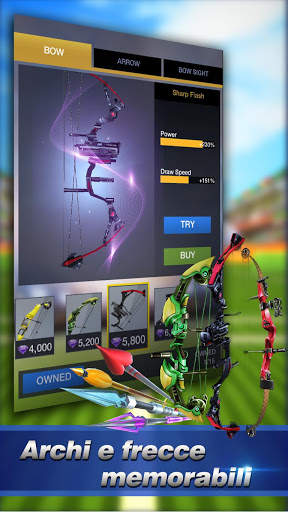 Archery Ace screenshot 4