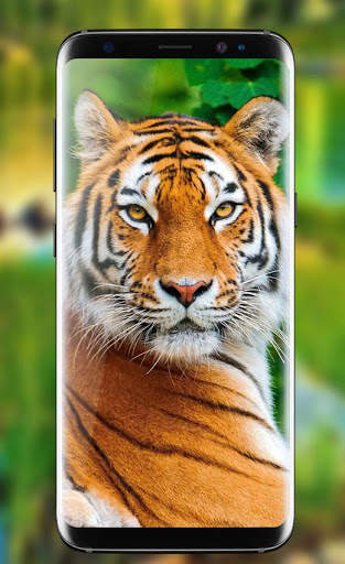 Tiger Live Wallpaper 2018: Colorful HD Backgrounds screenshot 1