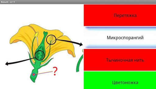 CoBa Биология скриншот 6
