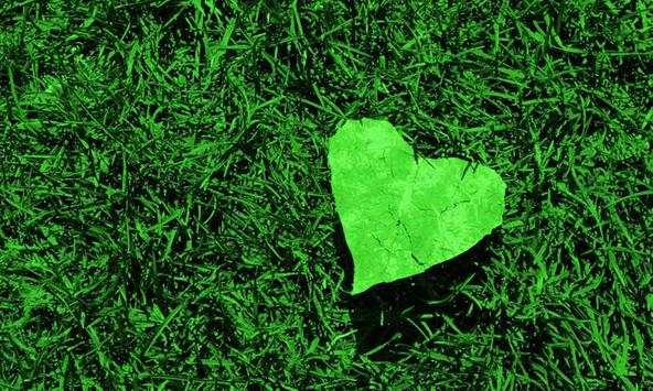 Grass wallpapers screenshot 2