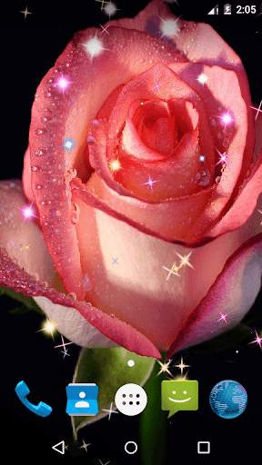 Rose Live Wallpaper screenshot 3