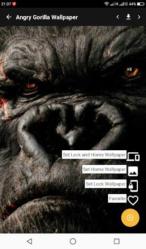 Angry Gorilla Wallpaper स्क्रीनशॉट 5