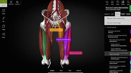Anatomyka - 3D Anatomy Atlas screenshot 10