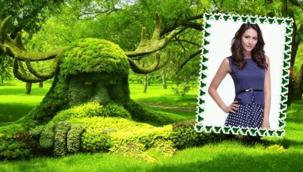 Garden Photo Frames screenshot 7