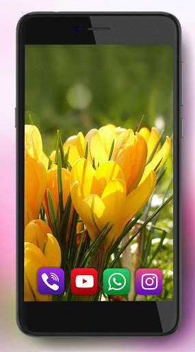 Spring Flowers Live Wallpaper screenshot 2