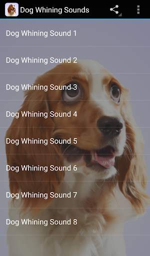 Dog Whining Sounds स्क्रीनशॉट 1