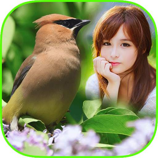 Bird Frame Collage 1.5