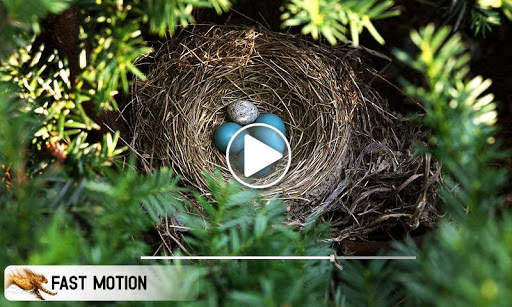 Slow Motion Video Editor – Movie Effect screenshot 5