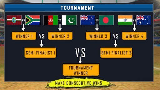 Real World Cricket Tournament  screenshot 1