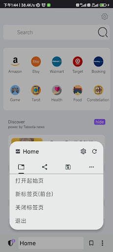Lite Browser screenshot 2
