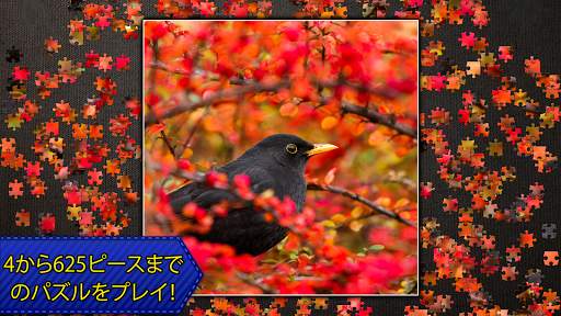 パズル Jigsaw Puzzles ジグソーパズル screenshot 15