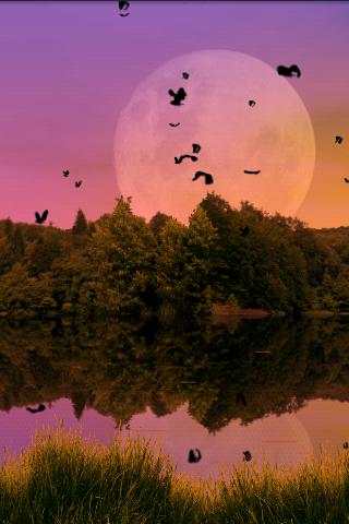 Forest Lake Live Wallpaper screenshot 3