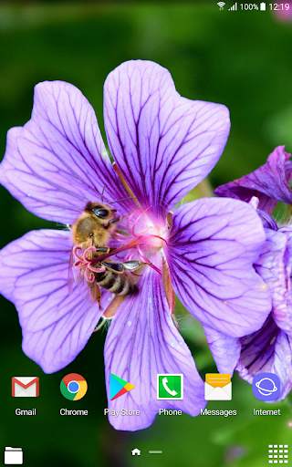 Beautiful Spring Wallpapers screenshot 7