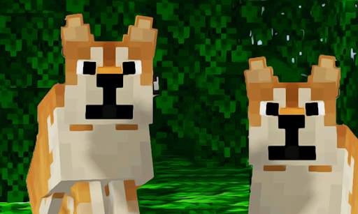 Mod Shiba Inu for Minecraft PE screenshot 1