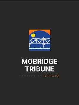 Mobridge Tribune скриншот 4