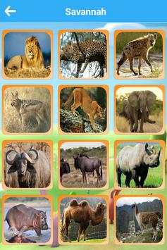 Animals Voice - Animal Kingdom скриншот 5