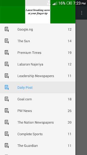 Nigeria Newspapers screenshot 1