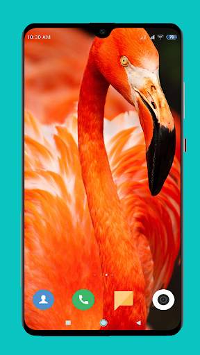 Flamingo wallpaper 4K screenshot 11
