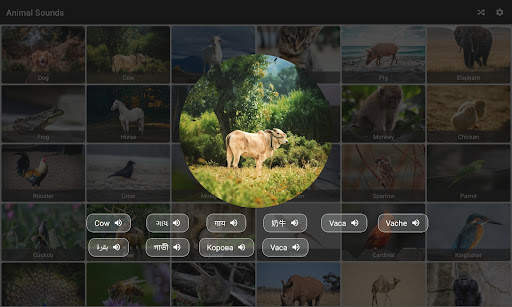 Animal Sounds - With Birds screenshot 2