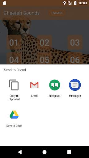 Cheetah (Animal) Sounds screenshot 3