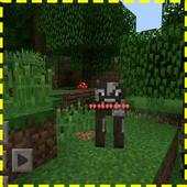 Health Indicators Mod Install 1.00