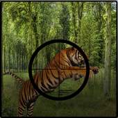 Jungle Animal Hunting Real Sniper Shooting 1.1