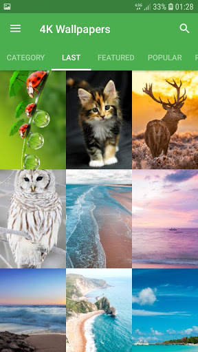 Free Love Wallpapers screenshot 7
