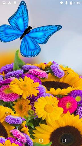 Butterflies Puzzle   Wallpaper screenshot 2
