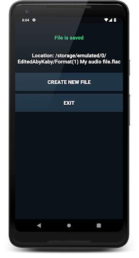 Music Converter: Change Audio Format screenshot 8